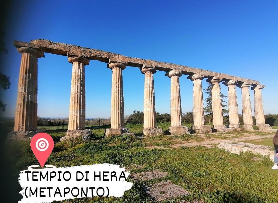 Dimora Helianthus Apartment Salandra Exterior foto